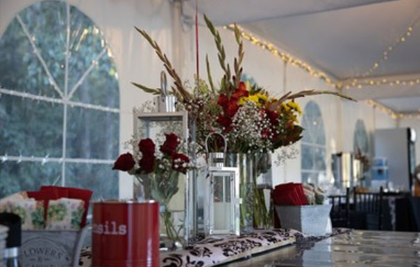 Julie Byrne - Wild Rabbit Farm Celebrant - Inside the Venue